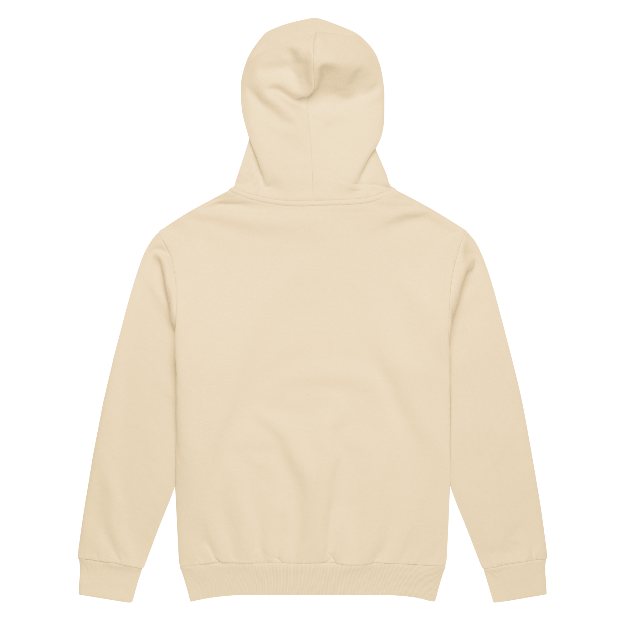 Garden of the Gods Oversized Hoodie