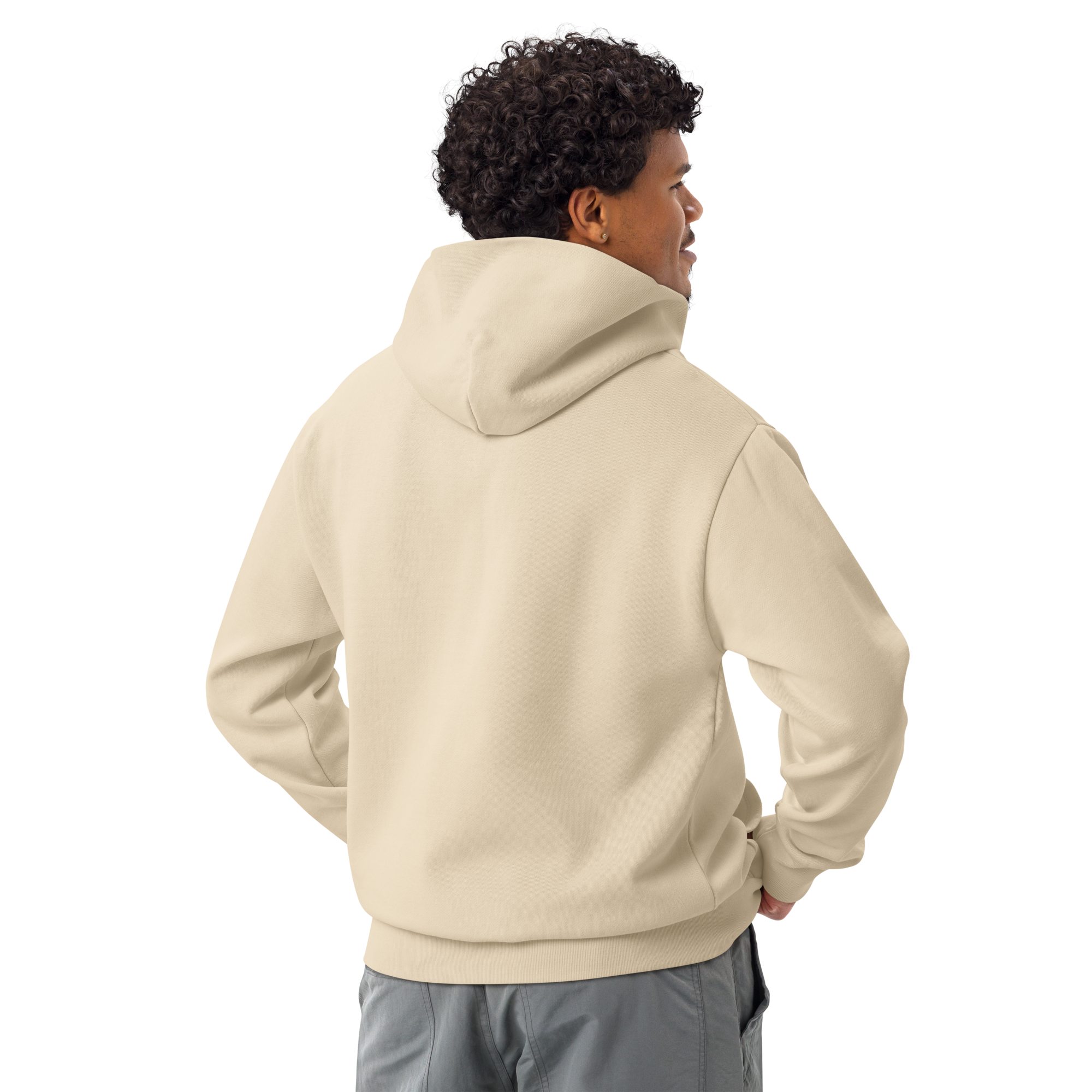 Garden of the Gods Oversized Hoodie